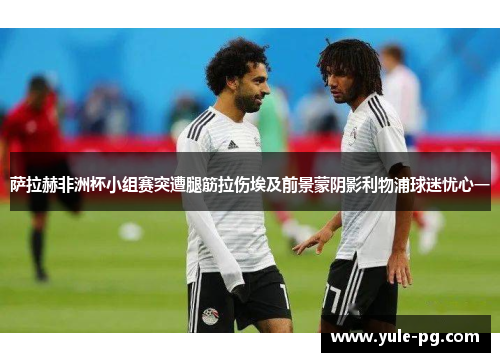 萨拉赫非洲杯小组赛突遭腿筋拉伤埃及前景蒙阴影利物浦球迷忧心一